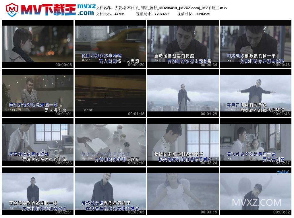 齐晨-各不相干_国语_流行_MD206419